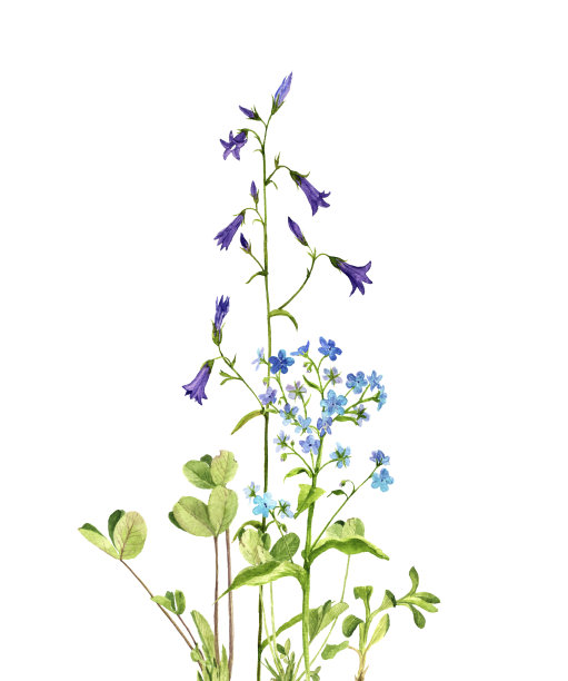 手绘插画素材ID：311937204