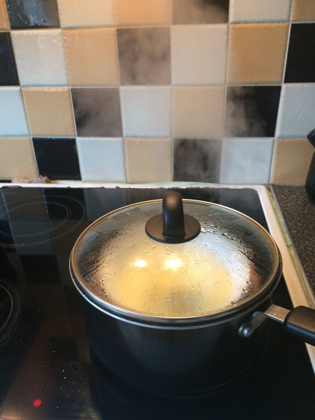 在炉子上蒸鸡蛋图片下载