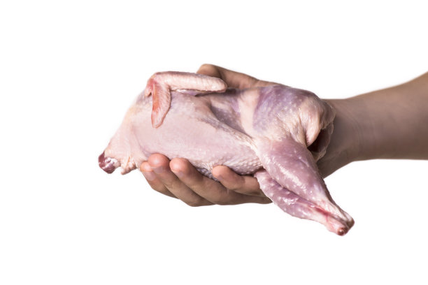 生鹌鹑肉图片下载
