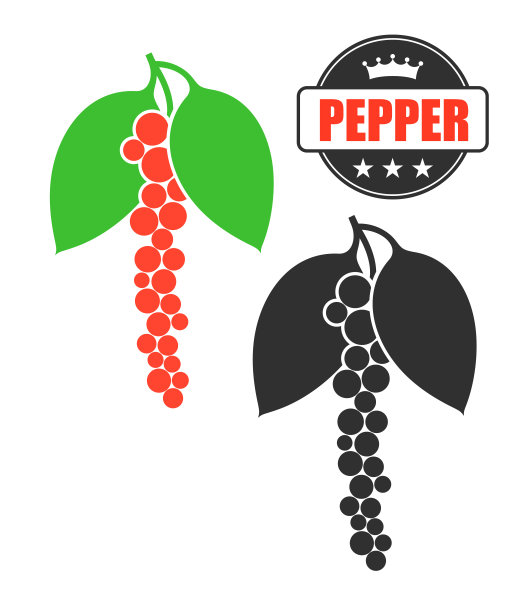 黑胡椒粉。孤立的胡椒在白色背景图片下载