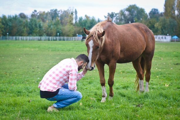 年轻英俊的牛仔。人是一个农场的农夫，农场里有许多马。农村景观,乡村。股票的照片图片下载