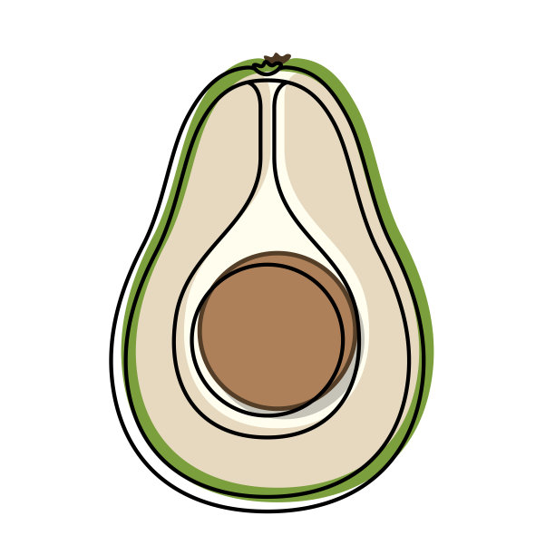 牛油果切片水彩剪影在白色的背景图片下载