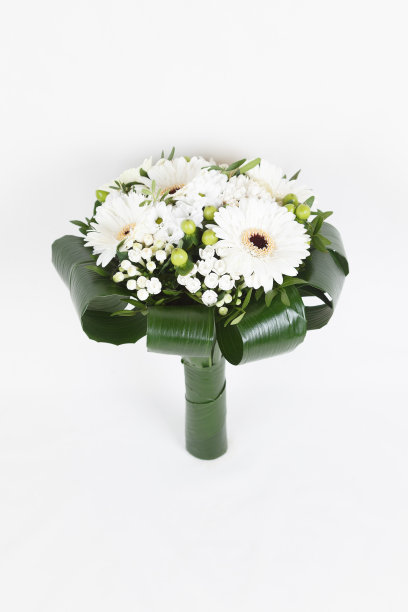 白色戈柏婚礼花束与蜘蛛抱蛋的叶子图片下载