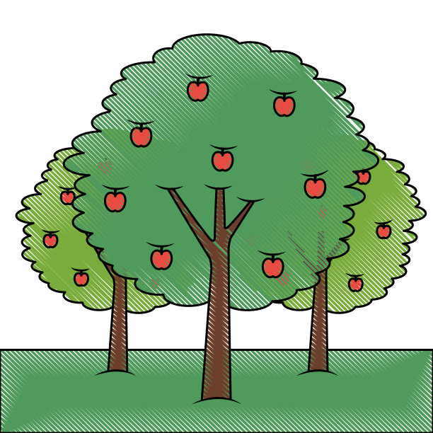 三棵苹果树灌木枝叶果实天然图片下载