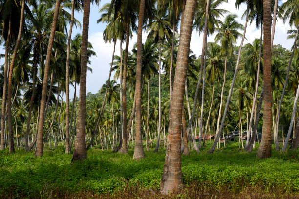 库马德拉海滩的海岸景观图片下载