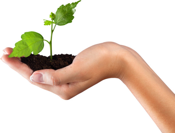 环境。图片下载