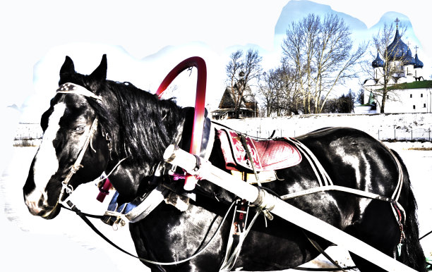 冬天拉雪橇的黑马。苏兹达尔冬季节日-俄罗斯的金戒指。白雪皑皑的城市景观，背景是教堂。图片下载