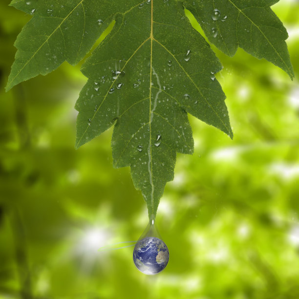 地球上滴图片下载