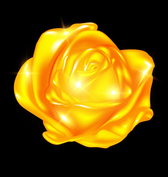 摘要金玫瑰图片下载