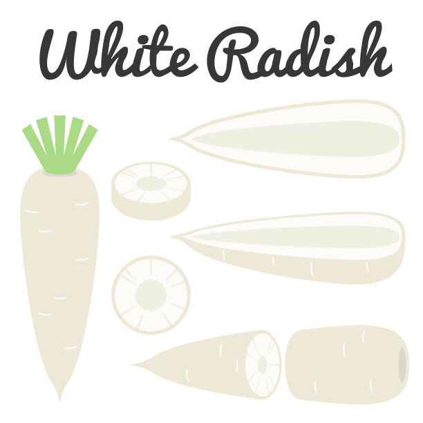 矢量集蔬菜，一半和切片白萝卜矢量图标集图片下载