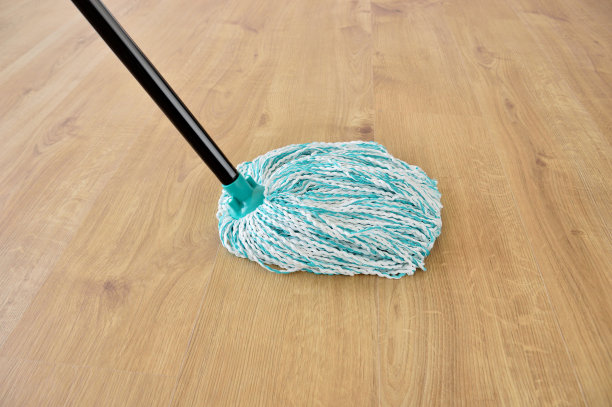 镶木地板清洁图片下载