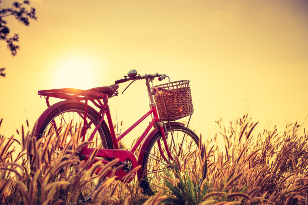 风景图片复古自行车与夏季草地在日落;古董过滤器风格。经典自行车，老式自行车风格的贺卡，明信片图片下载