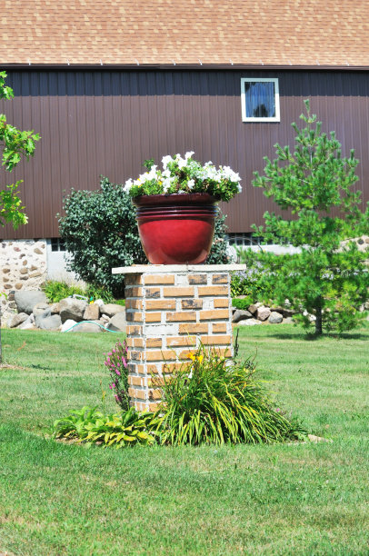 农村的花盆图片下载