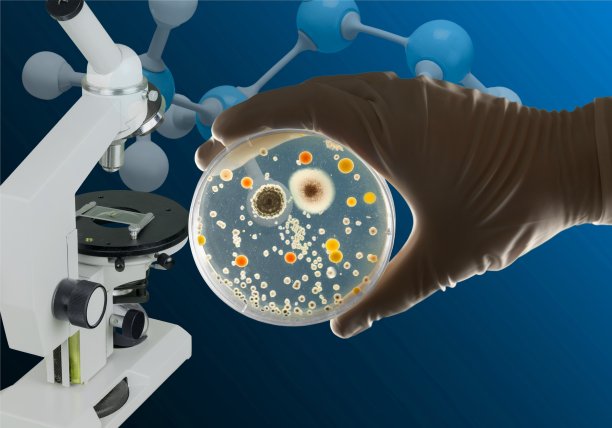 实验室。图片下载