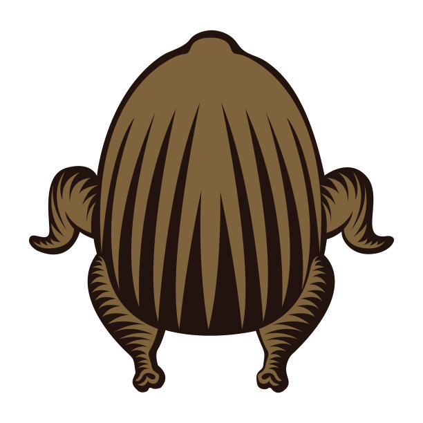 孤立的烤火鸡图片下载