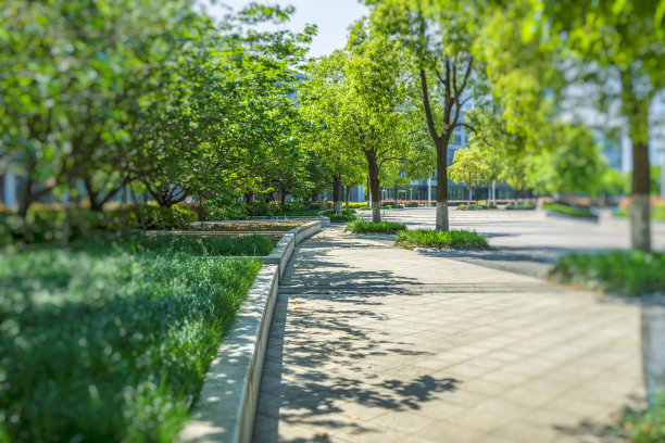 美丽的公园在一个阳光明媚的日子图片下载