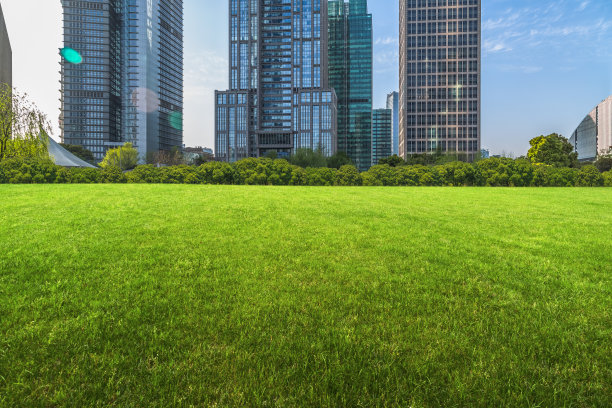 蓝天下的上海城市景观图片下载