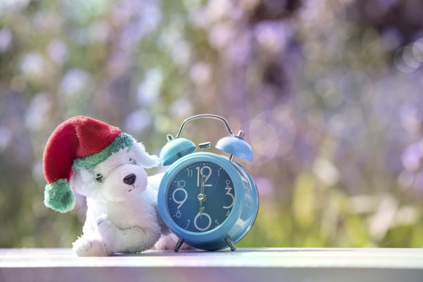 白色狗娃娃与蓝色时钟的背景图片下载