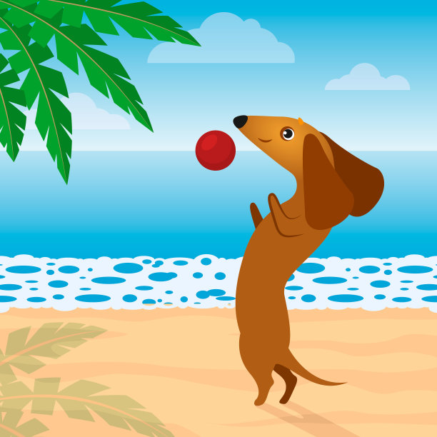 腊肠在沙滩上玩球。向量图片下载