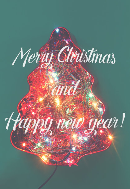 装饰圣诞树的电灯图片下载