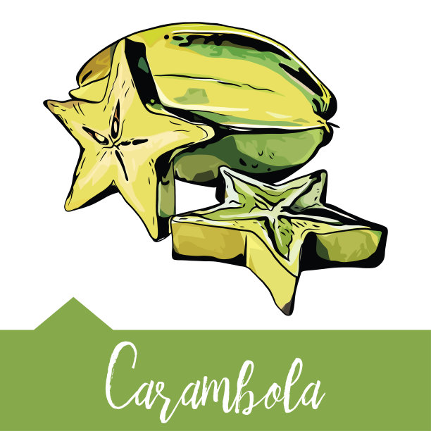 矢量插图，ÃÂ杨桃水果手绘图形图片下载