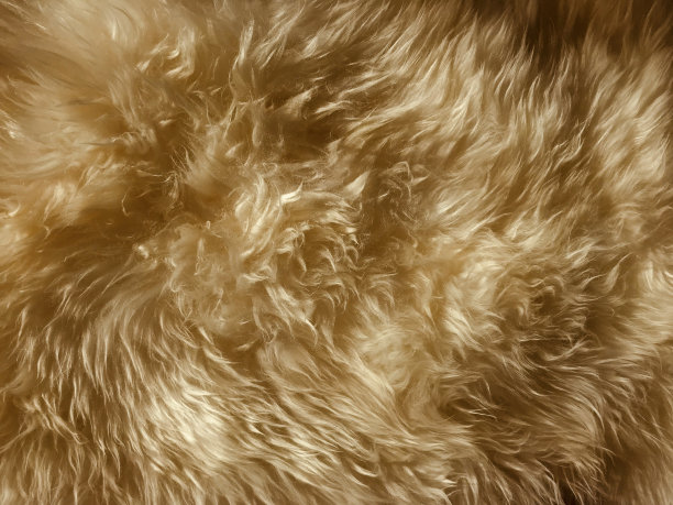 人工羊皮毛图片下载