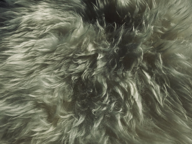 人工羊皮毛图片下载