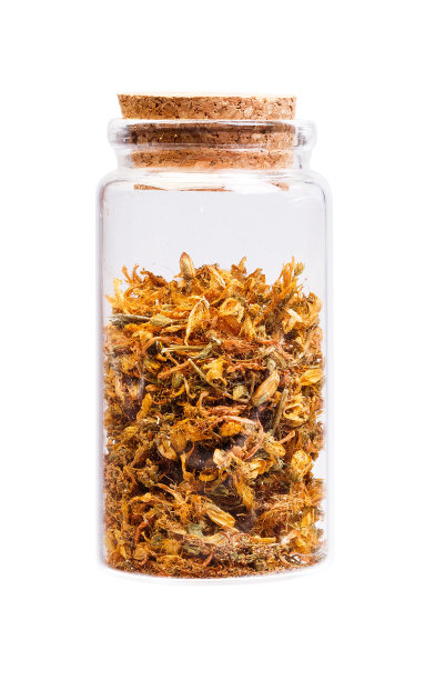 圣约翰草，金丝桃属植物图片下载