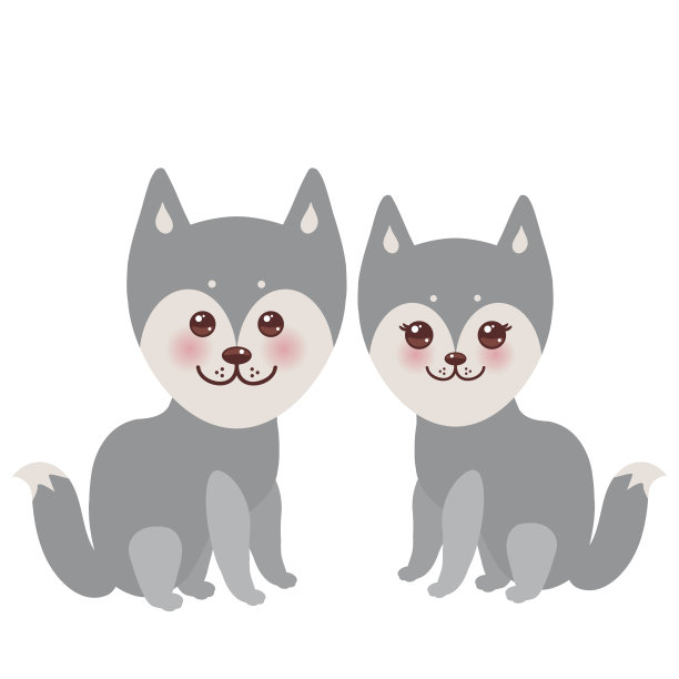 可爱有趣的灰色哈士奇，脸与大眼睛和粉红色的脸颊，男孩和女孩孤立在白色的背景。向量图片下载