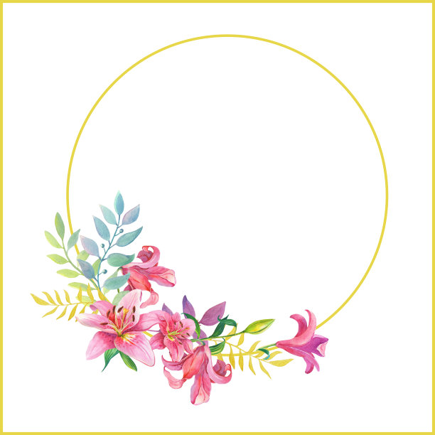 粉色的百合。花卉水彩花圈图片下载