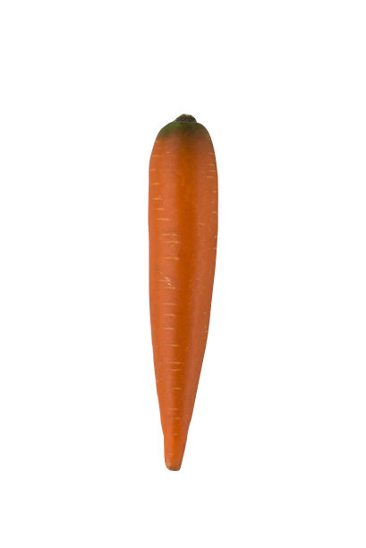 胡萝卜图片下载