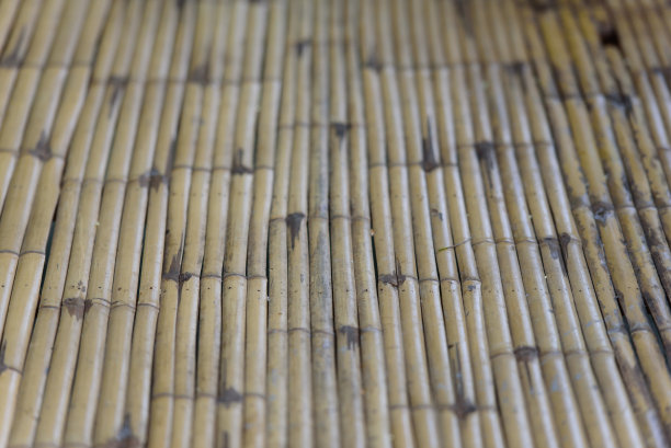 竹子的背景图片下载