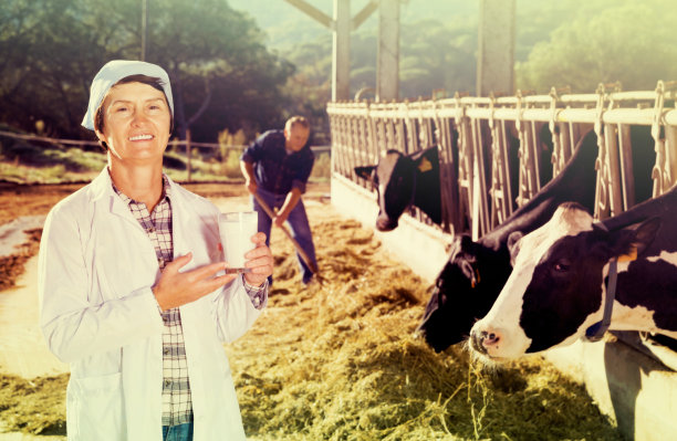 穿着白大褂的女兽医，在牛棚里喝着牛奶图片下载