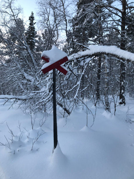 小道Mark_4图片下载