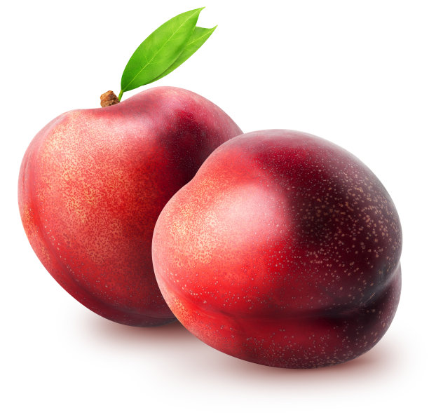 孤立的油桃。两个完整的油桃果实，叶子孤立在白色背景上图片下载