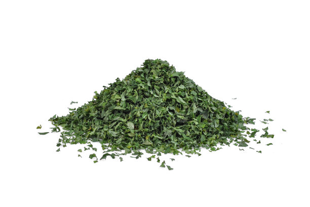 孤立于白色背景上的一堆干欧芹叶或油芹叶图片下载