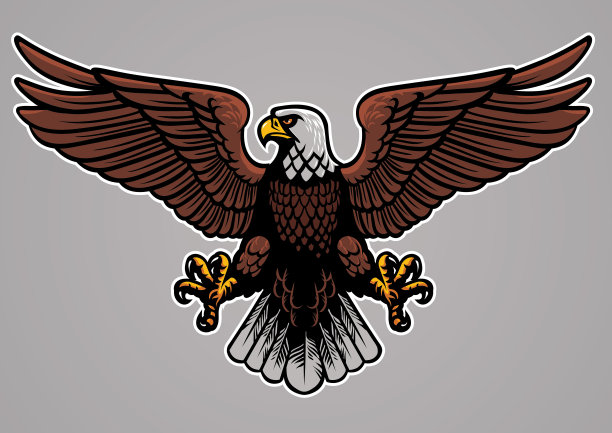 秃鹰展开翅膀素材图片