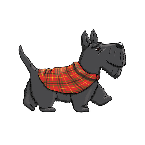 卡通苏格兰梗人物在散步。矢量图图片下载