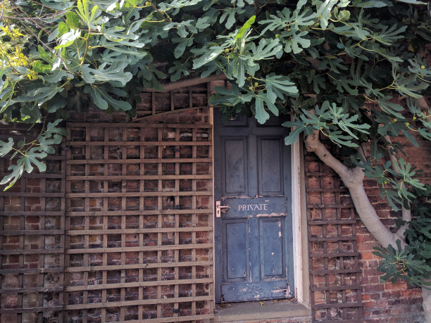 园丁门图片下载