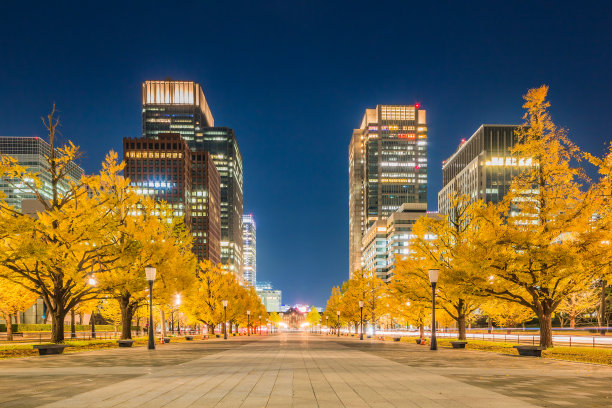 城市银杏树和城市建筑图片下载