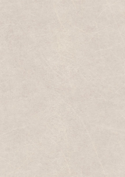 高分辨率羊皮纸纹理素材图片