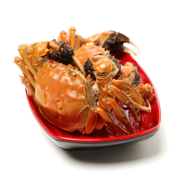 煮熟的蟹孤立在白色背景图片下载