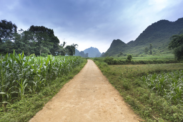 这是一条通往越南西北部山区村庄的乡村公路图片下载