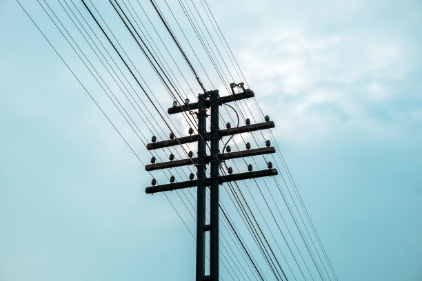 电力电线杆内衬很多图片下载