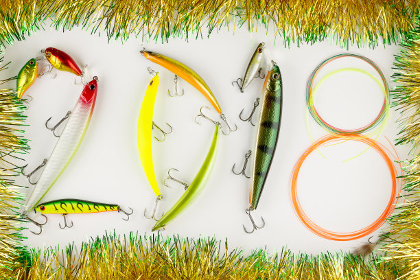 用鱼饵和鱼线制作的2018年新年作文。图片下载