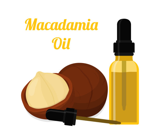 澳洲坚果油、香精、香水、化妆品。卡通平的风格。矢量图图片下载