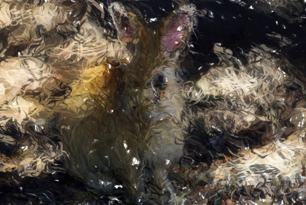 可爱的棕色小兔子-数字插图图片下载