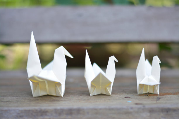 木制长凳上的三只白鸟。图片下载