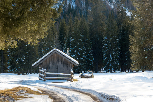 雪树上的冬季小屋图片下载