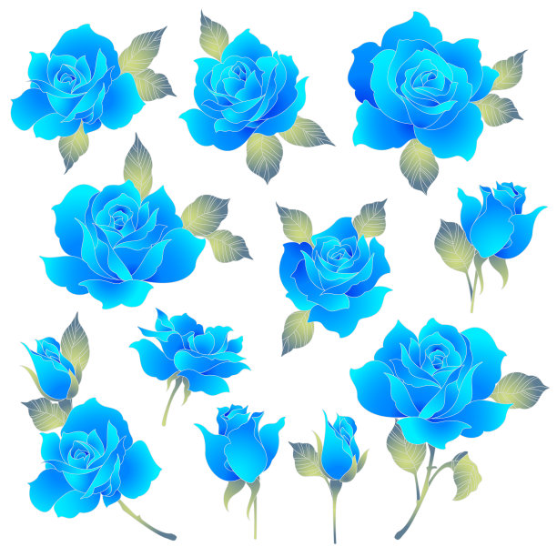 玫瑰图图片下载